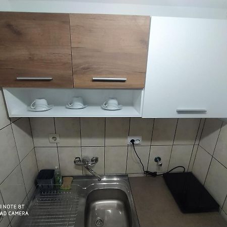 Apartman Studio Pavle I Petra Sremski Karlovci Zewnętrze zdjęcie