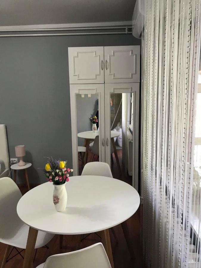 Apartman Studio Pavle I Petra Sremski Karlovci Zewnętrze zdjęcie