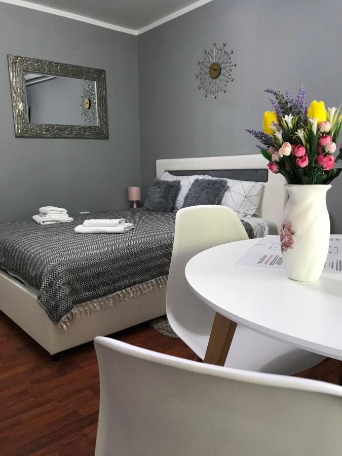 Apartman Studio Pavle I Petra Sremski Karlovci Zewnętrze zdjęcie