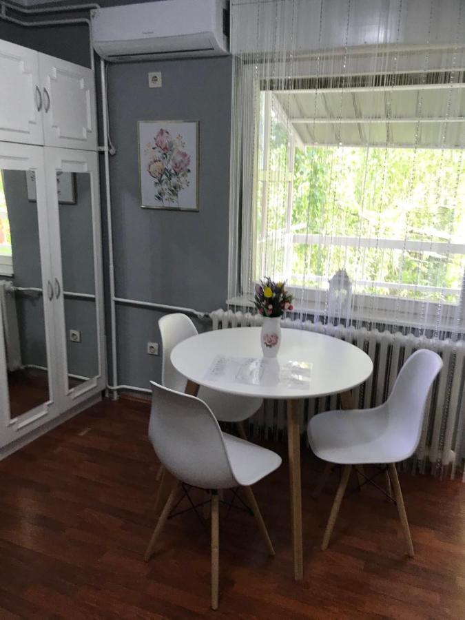 Apartman Studio Pavle I Petra Sremski Karlovci Zewnętrze zdjęcie