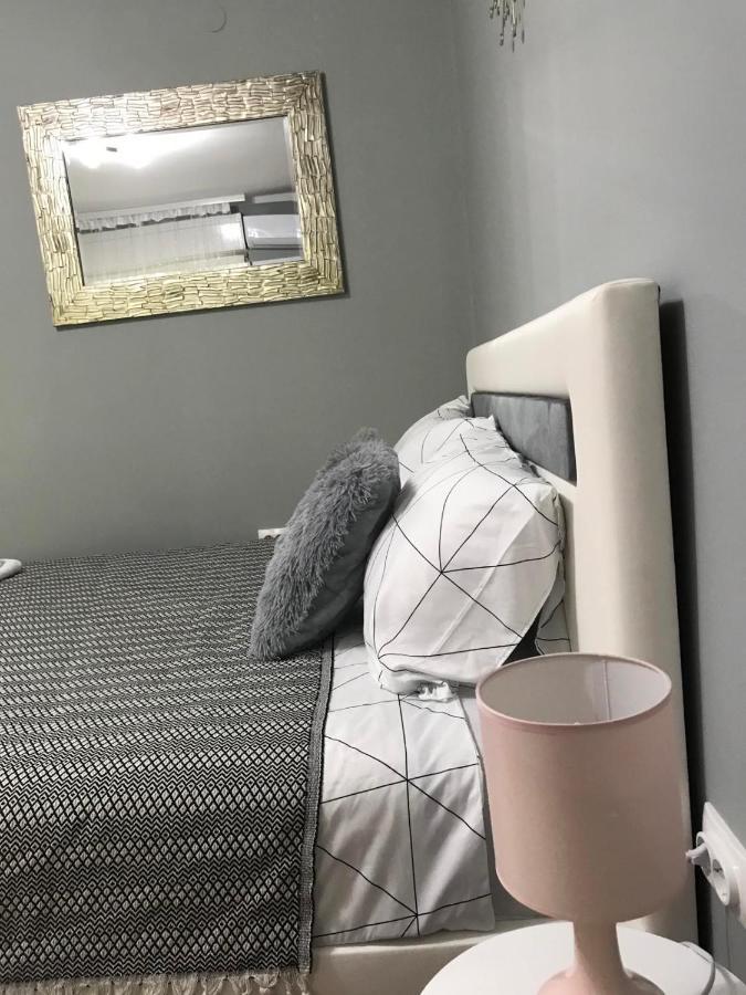 Apartman Studio Pavle I Petra Sremski Karlovci Zewnętrze zdjęcie