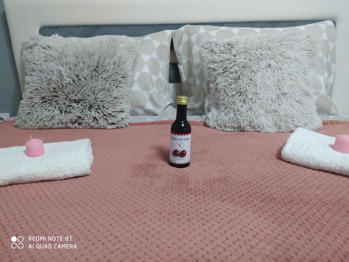 Apartman Studio Pavle I Petra Sremski Karlovci Zewnętrze zdjęcie