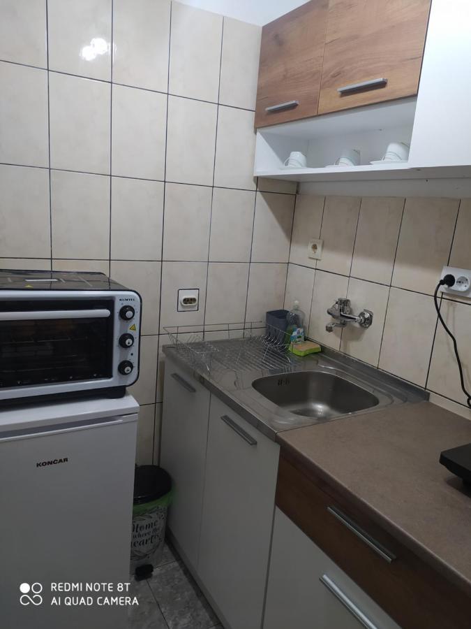 Apartman Studio Pavle I Petra Sremski Karlovci Zewnętrze zdjęcie